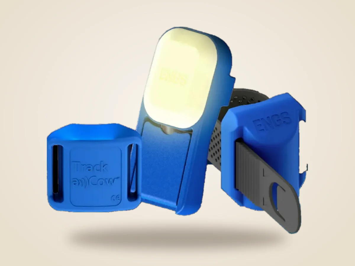 Neck Tag, Pedometre ve MiniTag Hayvan Takip Etiketleri