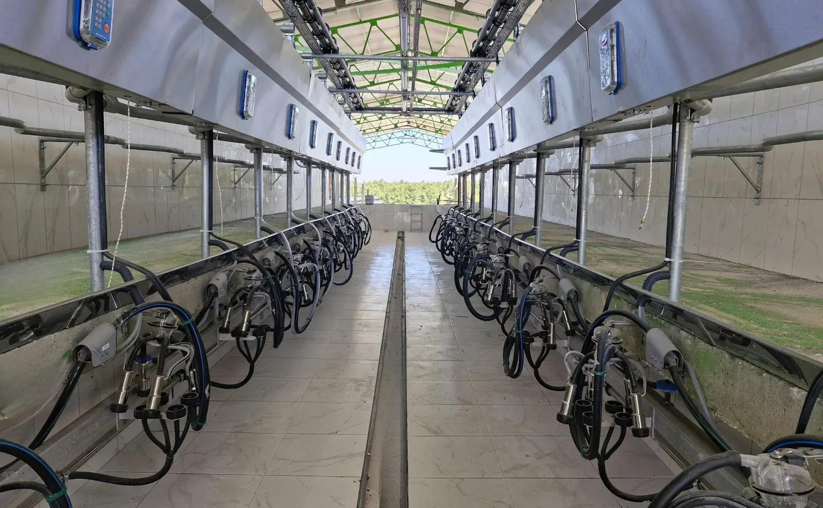 Güneş Çiftliği Hızlı Çıkış Sağım Salonu